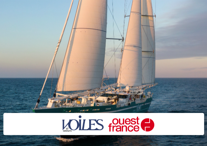 Un an après leur lancement, les cargos à voile de TOWT affichent un bilan carbone record